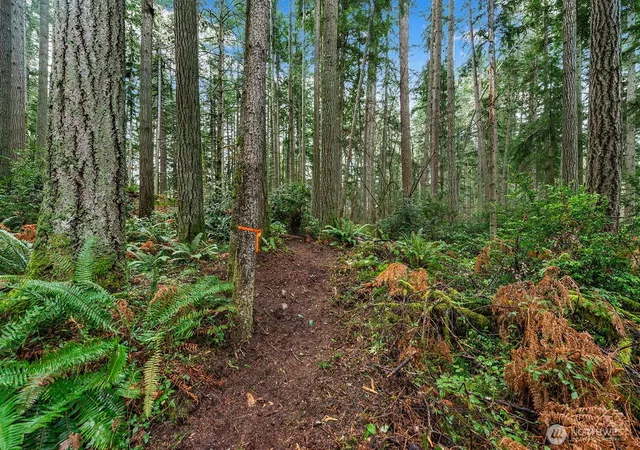 Photo 4 of Land for sale at 0 SW 220th Street, Vashon, WA 98070 | MLS# NWM2485691 | Listing updated on 2026-09-17