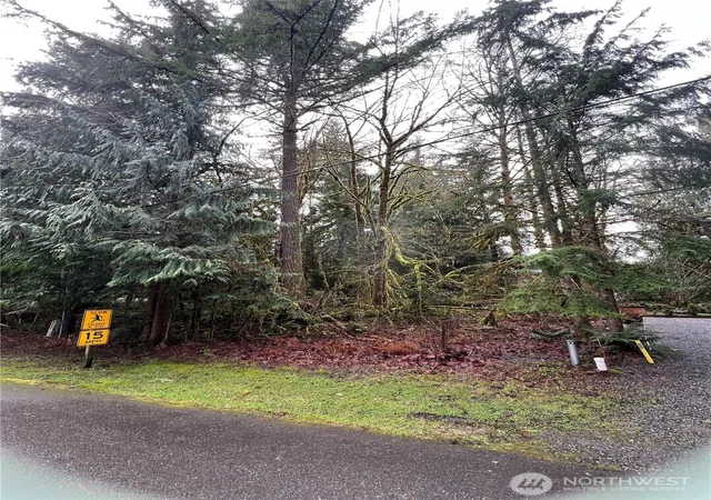 Photo 4 of Land for sale at 15026 Iceberg Rd, Deming, WA 98244 | MLS# NWM2485883 | Listing updated on 2026-09-17