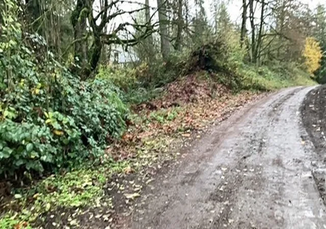 Photo 3 of Land for sale at 29280 Ne 189th Street, Duvall, WA 98019 | MLS# NWM2486353 | Listing updated on 2026-09-17