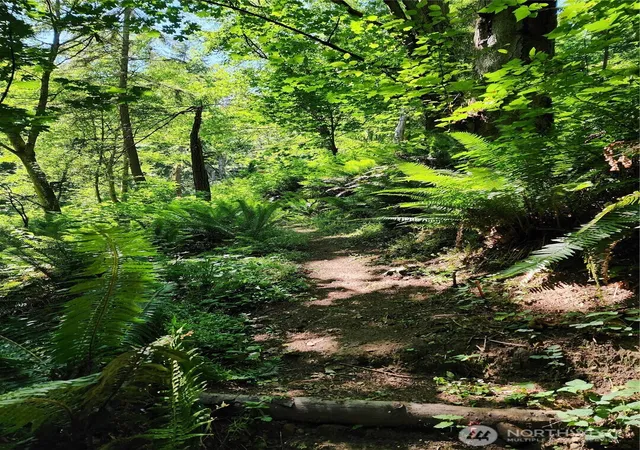 Photo 4 of Land for sale at 4076 Preserve Dr, Camano Island, WA 98282 | MLS# NWM2486536 | Listing updated on 2026-09-17