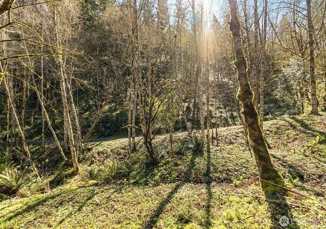 Photo 3 of Land for sale at 0 Ne 5th Street, Washougal, WA 98671 | MLS# NWM2486601 | Listing updated on 2026-09-21