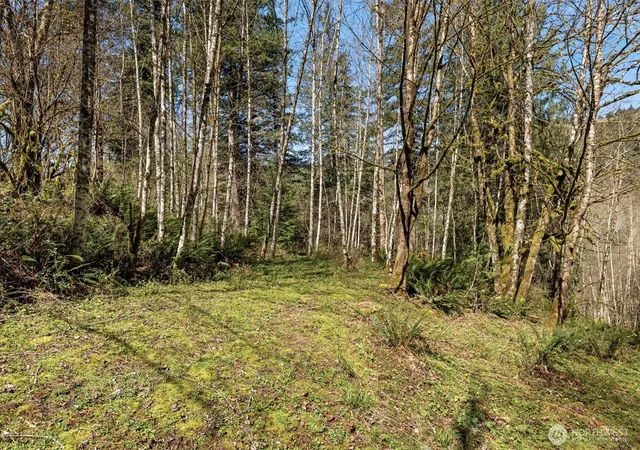 Photo 3 of Land for sale at 0 NE 5th Street, Washougal, WA 98671 | MLS# NWM2486601 | Listing updated on 2026-09-21