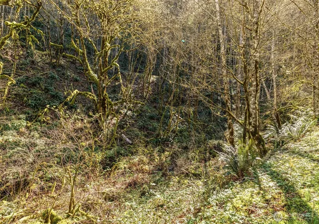Photo 4 of Land for sale at 0 NE 5th Street, Washougal, WA 98671 | MLS# NWM2486601 | Listing updated on 2026-09-21