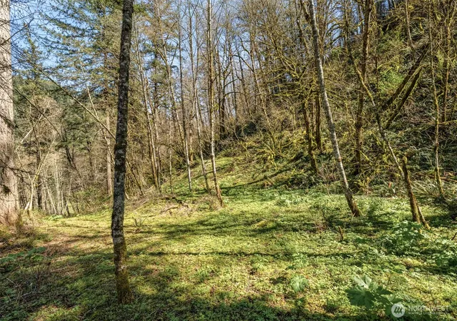 Photo 4 of Land for sale at 35034 NE 5th Street, Washougal, WA 98671 | MLS# NWM2486649 | Listing updated on 2026-10-01