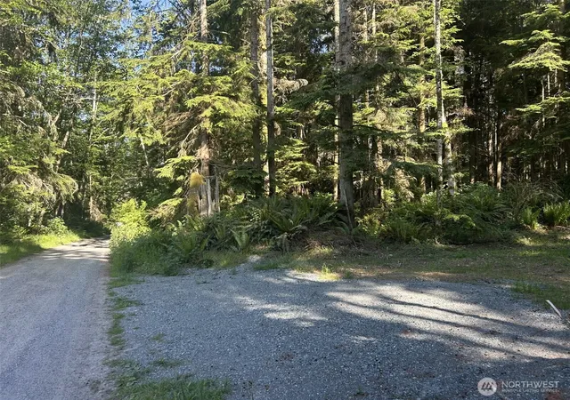 Photo 2 of Land for sale at 0 Xxx Forest View Ln, Greenbank, WA 98253 | MLS# NWM2486765 | Listing updated on 2026-09-17