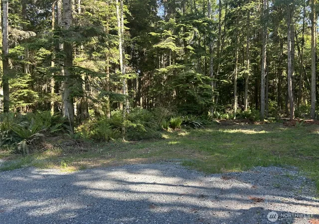 Photo 3 of Land for sale at 0 Xxx Forest View Ln, Greenbank, WA 98253 | MLS# NWM2486765 | Listing updated on 2026-09-17