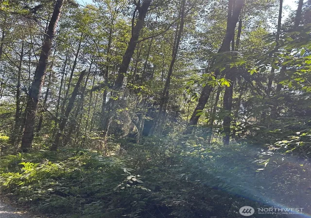 Photo 3 of Land for sale at 0 Xxx Forest View Ln, Greenbank, WA 98253 | MLS# NWM2486765 | Listing updated on 2026-09-17