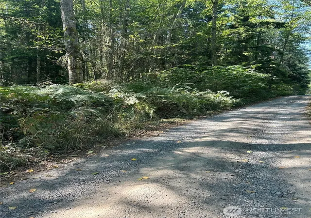 Photo 4 of Land for sale at 0 Xxx Forest View Ln, Greenbank, WA 98253 | MLS# NWM2486765 | Listing updated on 2026-09-17