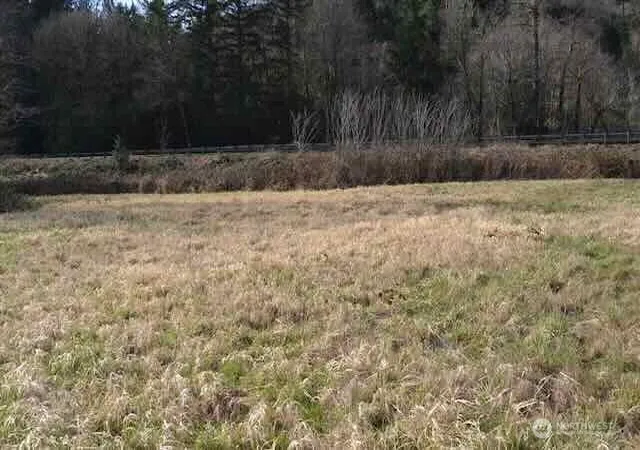 Photo 2 of Land for sale at 0 Us Hwy 12, Morton, WA 98356 | MLS# NWM2486779 | Listing updated on 2026-09-17