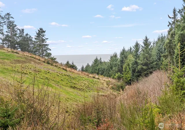 Photo 2 of Land for sale at 14 Chauncey Ln W, Pacific Beach, WA 98571 | MLS# NWM2486945 | Listing updated on 2026-09-17