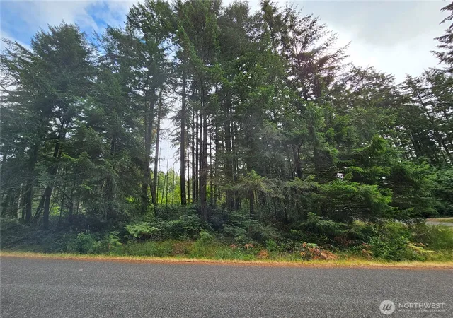 Photo 3 of Land for sale at 9325 123rd Avenue, Anderson Island, WA 98303 | MLS# NWM2487292 | Listing updated on 2026-09-24