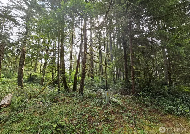 Photo 4 of Land for sale at 9325 123rd Avenue, Anderson Island, WA 98303 | MLS# NWM2487292 | Listing updated on 2026-09-24