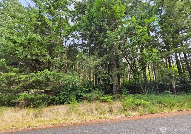 Photo 1 of Land for sale at 9325 123rd Avenue, Anderson Island, WA 98303 | MLS# NWM2487292 | Listing updated on 2026-09-24