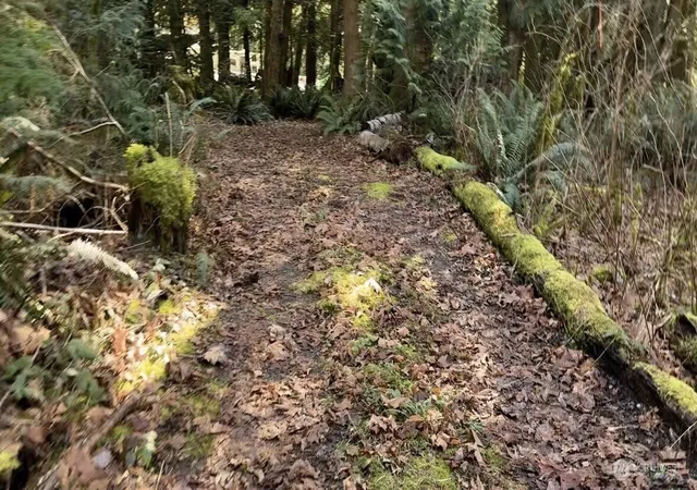 Photo 4 of Land for sale at 8146 Watkins Rd, Sumas, WA 98295 | MLS# NWM2487497 | Listing updated on 2026-09-17