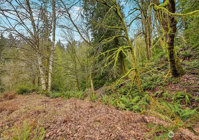 Photo 1 of Land for sale at 376 Beach Dr, Quilcene, WA 98376 | MLS# NWM2487555 | Listing updated on 2026-09-17