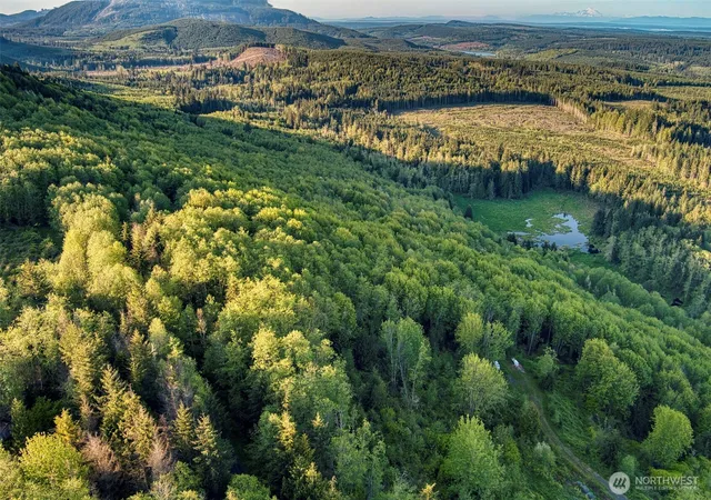 Photo 2 of Land for sale at 0 Elkhorn Ln, Quilcene, WA 98376 | MLS# NWM2487701 | Listing updated on 2026-09-17