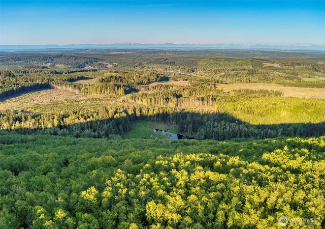 Photo 3 of Land for sale at 0 Elkhorn Ln, Quilcene, WA 98376 | MLS# NWM2487701 | Listing updated on 2026-09-17