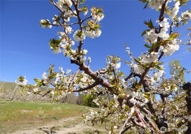 Photo 4 of House for sale at 501 Jack Wells Rd, Bridgeport, WA 98813 | MLS# NWM2487723 | Listing updated on 2026-09-17