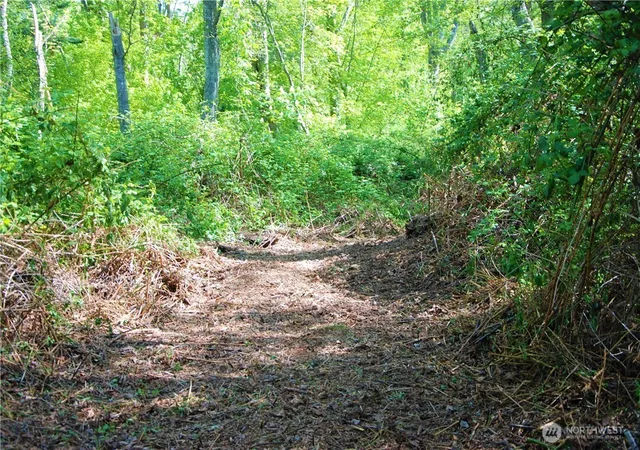 Photo 4 of Land for sale at 12 Koehn Rd, Blaine, WA 98230 | MLS# NWM2487728 | Listing updated on 2026-09-17