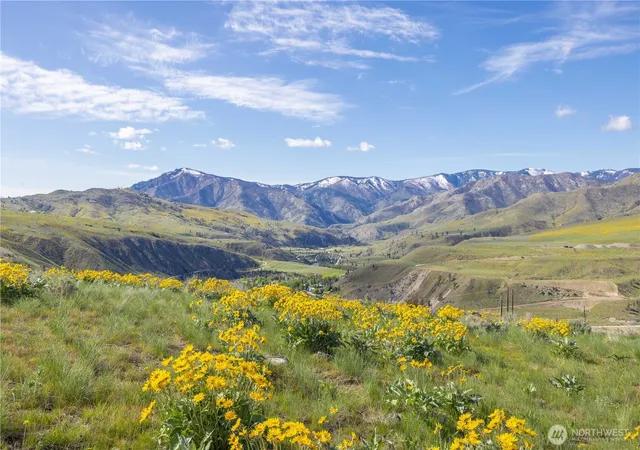 Land for sale at 1 Ter View Short Plat, Methow, WA 98834 | MLS# NWM2487786
