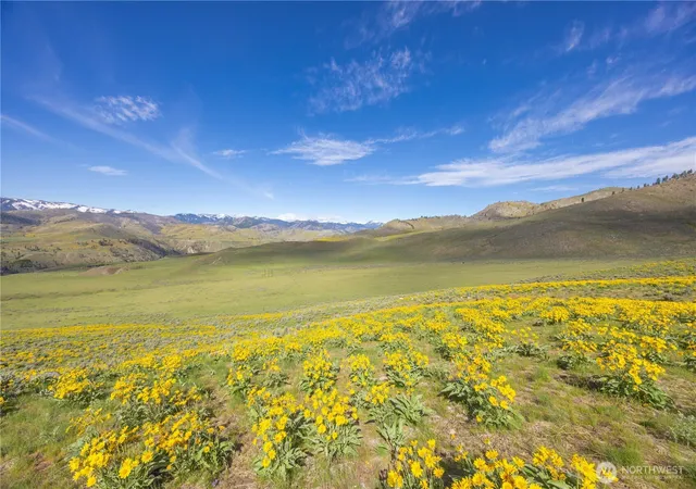 Photo 4 of Land for sale at 1 Ter View Short Plat, Methow, WA 98834 | MLS# NWM2487786 | Listing updated on 2026-09-17