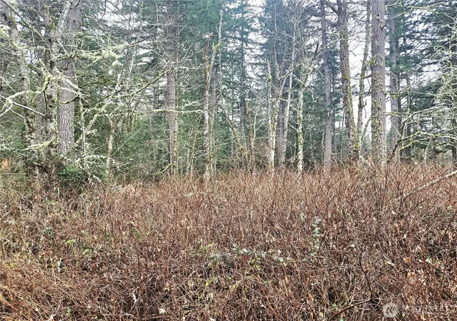 Photo 1 of Land for sale at 4 W Nka Go Onna Dr, Quilcene, WA 98376 | MLS# NWM2488293 | Listing updated on 2026-09-17