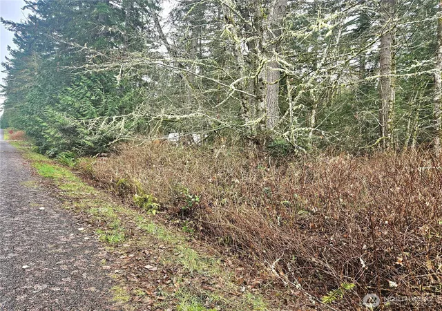 Photo 3 of Land for sale at 4 W Nka Go Onna Dr, Quilcene, WA 98376 | MLS# NWM2488293 | Listing updated on 2026-09-17