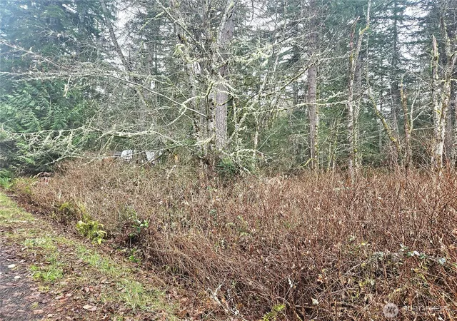 Photo 3 of Land for sale at 4 W Nka Go Onna Dr, Quilcene, WA 98376 | MLS# NWM2488293 | Listing updated on 2026-09-17
