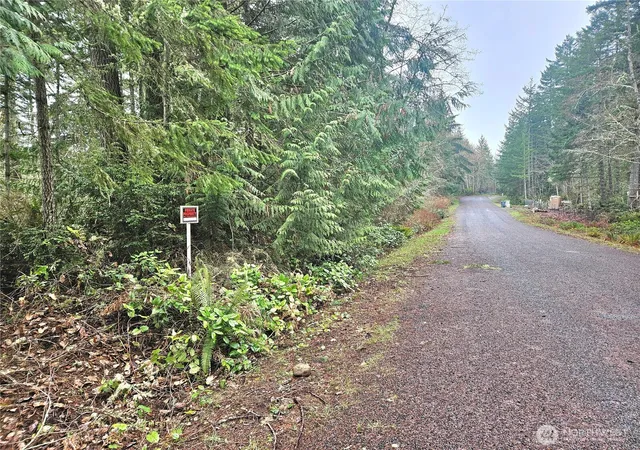 Photo 2 of Land for sale at 3 W Nka Go Onna Dr, Quilcene, WA 98376 | MLS# NWM2488294 | Listing updated on 2026-09-17