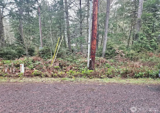 Photo 3 of Land for sale at 3 W Nka Go Onna Dr, Quilcene, WA 98376 | MLS# NWM2488294 | Listing updated on 2026-09-17