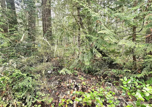Photo 4 of Land for sale at 3 W Nka Go Onna Dr, Quilcene, WA 98376 | MLS# NWM2488294 | Listing updated on 2026-09-17