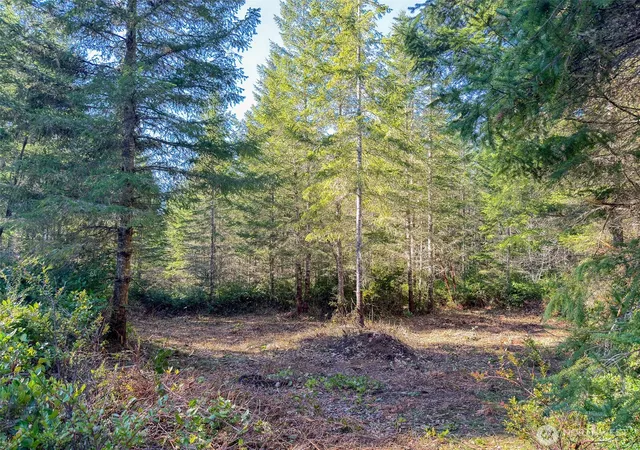 Photo 1 of Land for sale at 222 X Octopus Ct, Quilcene, WA 98376 | MLS# NWM2488648 | Listing updated on 2026-09-22