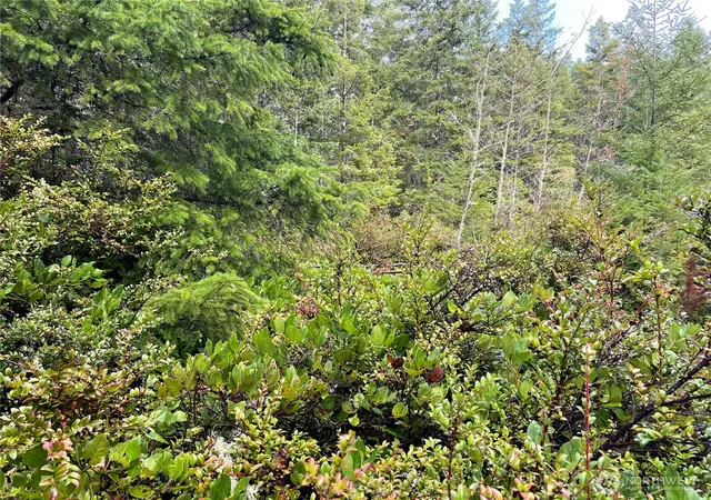 Photo 3 of Land for sale at 222 X Octopus Ct, Quilcene, WA 98376 | MLS# NWM2488648 | Listing updated on 2026-09-22