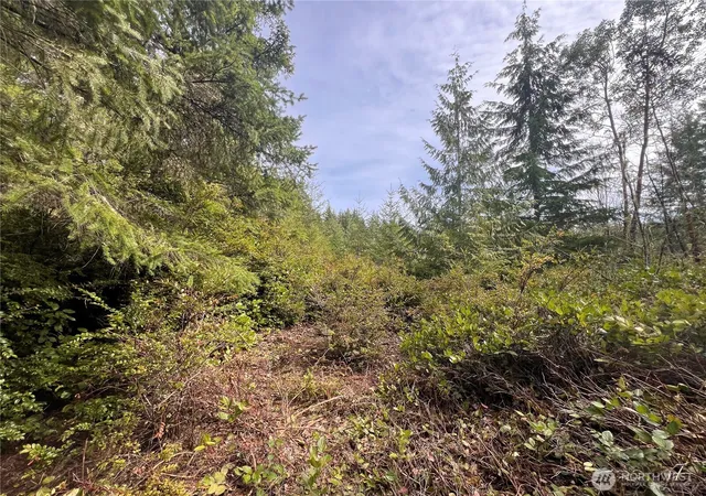 Photo 3 of Land for sale at 222 X Octopus Ct, Quilcene, WA 98376 | MLS# NWM2488648 | Listing updated on 2026-09-22