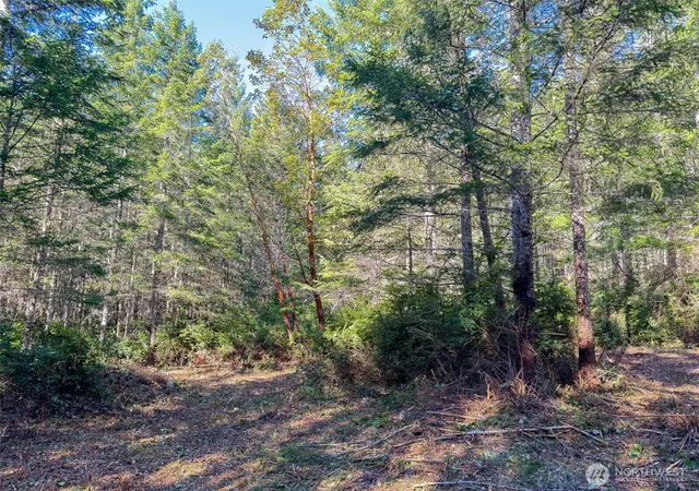 Photo 4 of Land for sale at 222 X Octopus Ct, Quilcene, WA 98376 | MLS# NWM2488648 | Listing updated on 2026-09-22