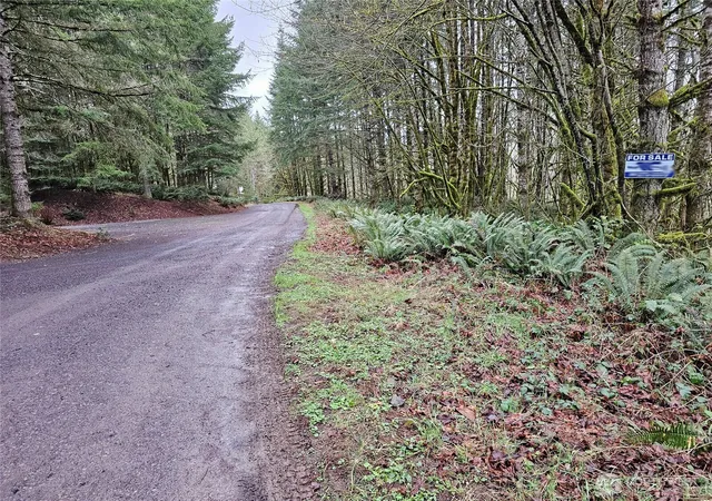 Land for sale at 461 Clearwater Rd, Kelso, WA 98626 | MLS# NWM2489031