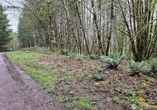 Photo 1 of Land for sale at 461 Clearwater Rd, Kelso, WA 98626 | MLS# NWM2489031 | Listing updated on 2026-09-17