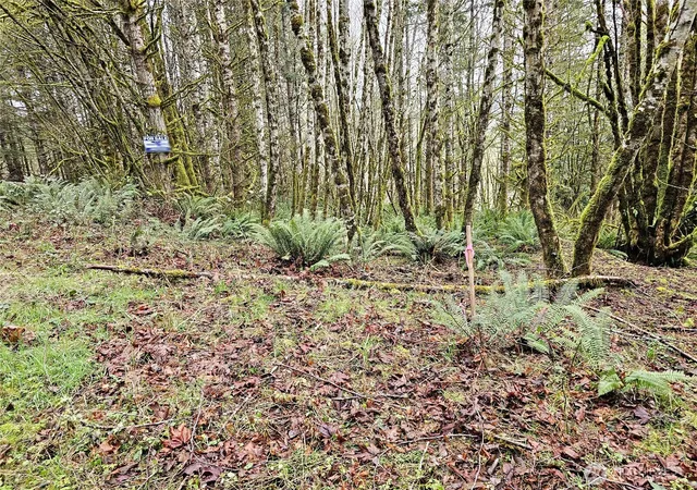Photo 4 of Land for sale at 461 Clearwater Rd, Kelso, WA 98626 | MLS# NWM2489031 | Listing updated on 2026-09-17