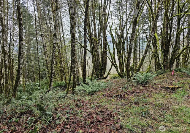 Photo 3 of Land for sale at 573 Clearwater Rd, Kelso, WA 98626 | MLS# NWM2489095 | Listing updated on 2026-09-17