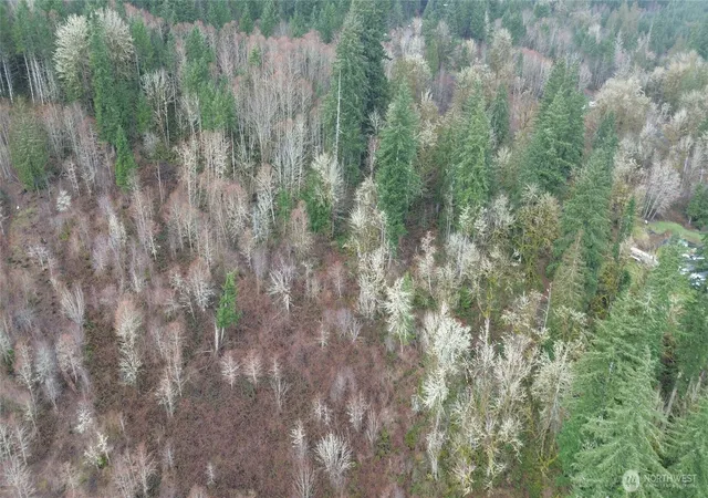 Photo 4 of Land for sale at 573 Clearwater Rd, Kelso, WA 98626 | MLS# NWM2489095 | Listing updated on 2026-09-17