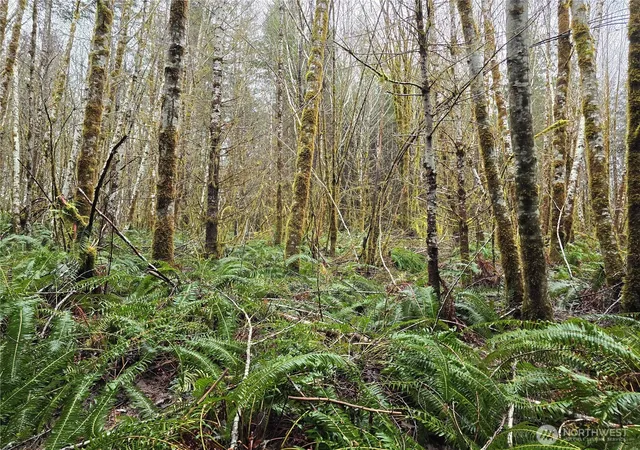 Land for sale at 0 W Lot 4 Elk Hl Rd, Elma, WA 98541 | MLS# NWM2489181