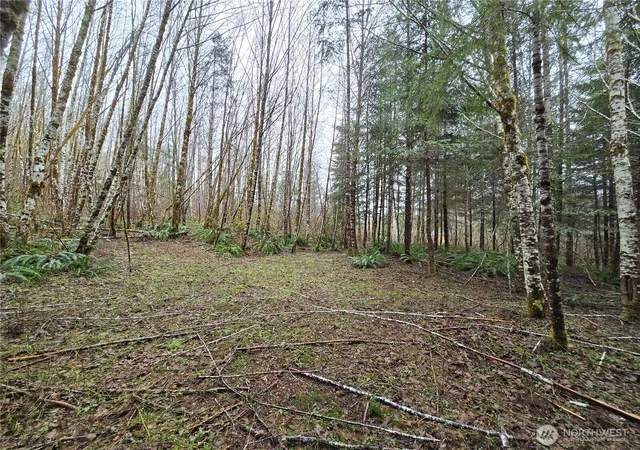 Photo 2 of Land for sale at 0 W Lot 4 Elk Hl Rd, Elma, WA 98541 | MLS# NWM2489181 | Listing updated on 2026-09-17