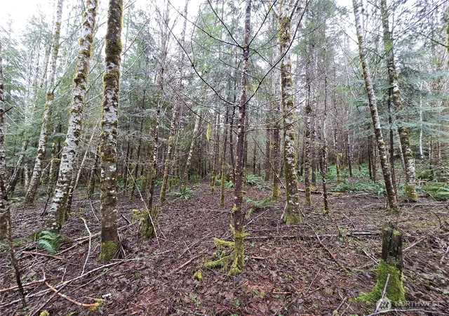 Photo 3 of Land for sale at 0 W Lot 4 Elk Hl Rd, Elma, WA 98541 | MLS# NWM2489181 | Listing updated on 2026-09-17