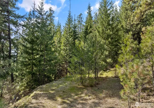 Photo 3 of Land for sale at 0 Lot B R&r Hts Dr, Roslyn, WA 98941 | MLS# NWM2489442 | Listing updated on 2026-09-17