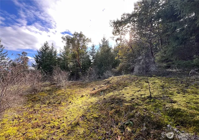 Photo 3 of Land for sale at 59 X Moose Mountain Rd, Brinnon, WA 98320 | MLS# NWM2489509 | Listing updated on 2026-09-30