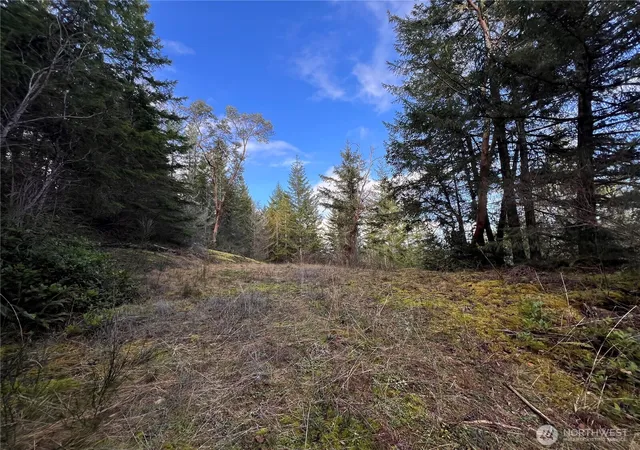 Photo 4 of Land for sale at 59 X Moose Mountain Rd, Brinnon, WA 98320 | MLS# NWM2489509 | Listing updated on 2026-09-30
