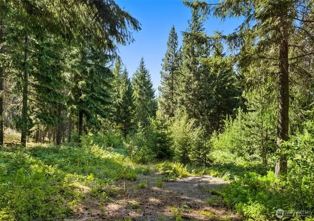 Photo 1 of Land for sale at 131 Goat Crk Ln, Cle Elum, WA 98922 | MLS# NWM2489571 | Listing updated on 2026-09-17