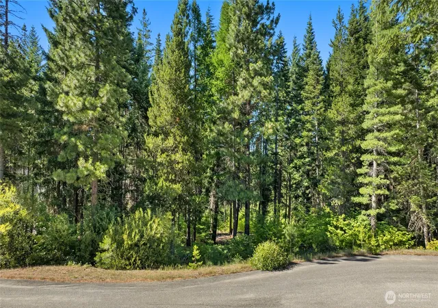 Photo 3 of Land for sale at 131 Goat Crk Ln, Cle Elum, WA 98922 | MLS# NWM2489571 | Listing updated on 2026-09-17