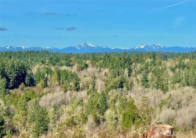 Photo 2 of Land for sale at 4319 183rd Avenue Ct Sw, Longbranch, WA 98351 | MLS# NWM2489573 | Listing updated on 2026-09-17