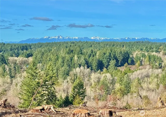 Photo 3 of Land for sale at 4324 183rd Avenue Ct Sw, Longbranch, WA 98351 | MLS# NWM2489575 | Listing updated on 2026-09-17